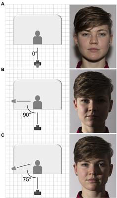 Illumination and gaze effects on face evaluation: The Bi-AGI database